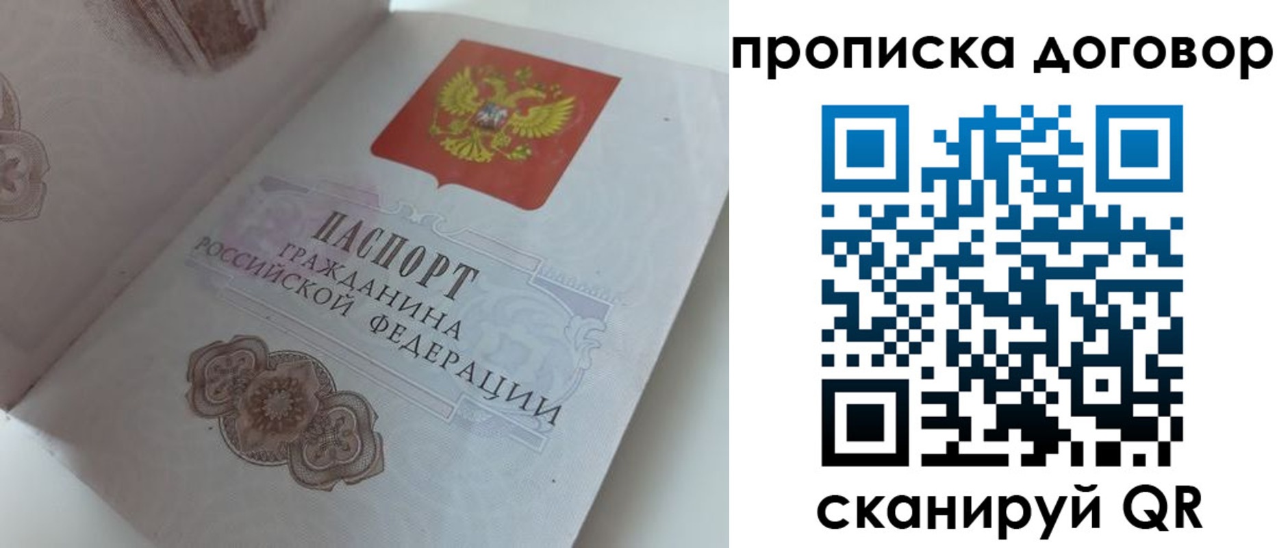 прописка поиск в Кандалакше